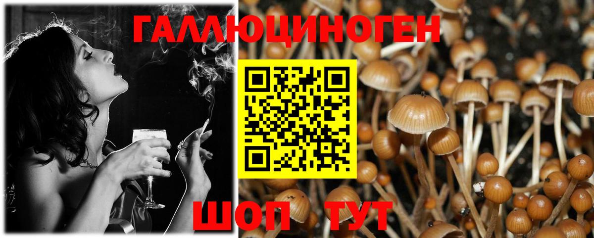 Псилоцибиновые грибы MAGIC MUSHROOMS Обь